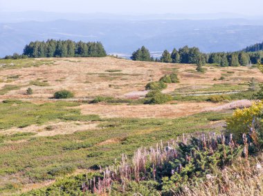 Bulgaristan 'ın Vitosha Dağı' nın şaşırtıcı sonbahar manzarası