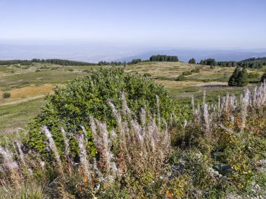 Bulgaristan 'ın Vitosha Dağı' nın şaşırtıcı sonbahar manzarası