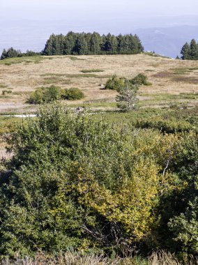 Bulgaristan 'ın Vitosha Dağı' nın şaşırtıcı sonbahar manzarası