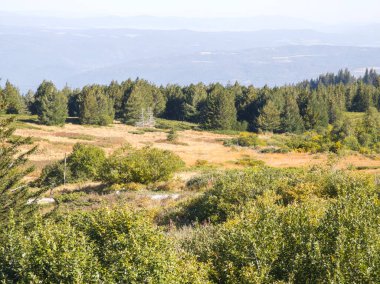 Bulgaristan 'ın Vitosha Dağı' nın şaşırtıcı sonbahar manzarası