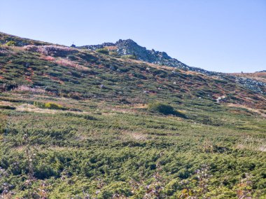 Bulgaristan 'ın Vitosha Dağı' nın şaşırtıcı sonbahar manzarası