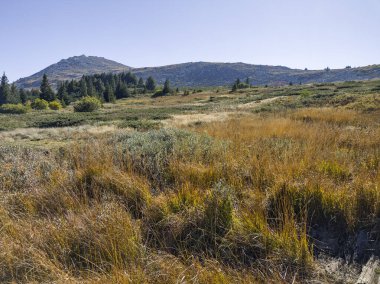 Bulgaristan 'ın Vitosha Dağı' nın şaşırtıcı sonbahar manzarası