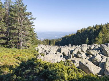 Bulgaristan 'ın Vitosha Dağı' nın şaşırtıcı sonbahar manzarası