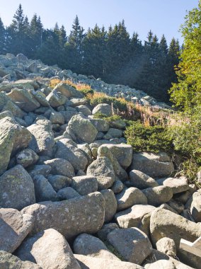 Bulgaristan 'ın Vitosha Dağı' nın şaşırtıcı sonbahar manzarası