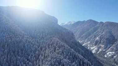 Bulgaristan 'ın Sofya Bölgesi Beli Iskar köyü yakınlarındaki Rila Dağı' nın kış manzarası