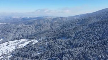 Bulgaristan 'ın Sofya Bölgesi Beli Iskar köyü yakınlarındaki Rila Dağı' nın kış manzarası