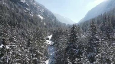 Bulgaristan 'ın Sofya Bölgesi Beli Iskar nehri yakınlarındaki Rila Dağı' nın kış manzarası