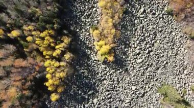 Bulgaristan 'ın başkenti Sofya' nın Vitosha Dağı 'ndaki Zlatnite Mostove (Altın Köprüler) adlı taştan nehrin hava sonbahar manzarası