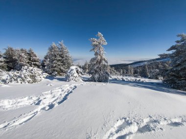 Bulgaristan 'ın Sofya Şehir Bölgesi, Vitosha Dağı' nın İnanılmaz Kış Panoraması