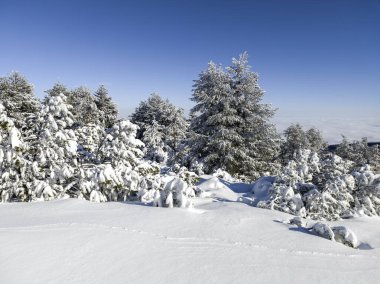 Bulgaristan 'ın Sofya Şehir Bölgesi, Vitosha Dağı' nın İnanılmaz Kış Panoraması