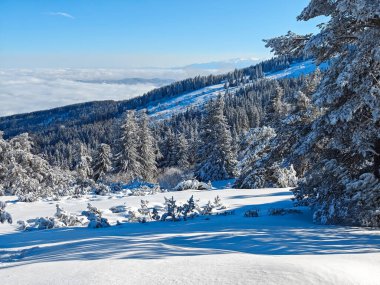 Bulgaristan 'ın Sofya Şehir Bölgesi, Vitosha Dağı' nın İnanılmaz Kış Panoraması