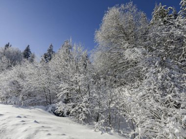 Bulgaristan 'ın Sofya Şehir Bölgesi, Vitosha Dağı' nın İnanılmaz Kış Panoraması