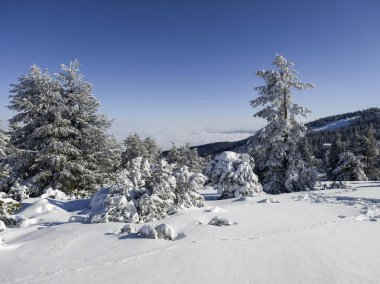 Bulgaristan 'ın Sofya Şehir Bölgesi, Vitosha Dağı' nın İnanılmaz Kış Panoraması