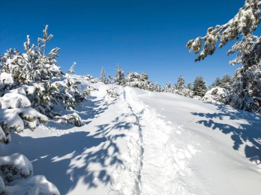 Bulgaristan 'ın Sofya Şehir Bölgesi, Vitosha Dağı' nın İnanılmaz Kış Panoraması