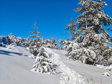 Bulgaristan 'ın Sofya Şehir Bölgesi, Vitosha Dağı' nın İnanılmaz Kış Panoraması