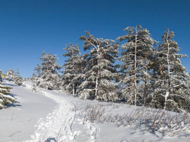 Bulgaristan 'ın Sofya Şehir Bölgesi, Vitosha Dağı' nın İnanılmaz Kış Panoraması