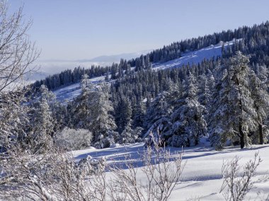 Bulgaristan 'ın Sofya Şehir Bölgesi, Vitosha Dağı' nın İnanılmaz Kış Panoraması