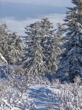 Bulgaristan 'ın Sofya Şehir Bölgesi, Vitosha Dağı' nın İnanılmaz Kış Panoraması