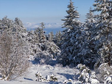 Bulgaristan 'ın Sofya Şehir Bölgesi, Vitosha Dağı' nın İnanılmaz Kış Panoraması