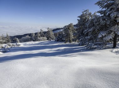 Bulgaristan 'ın Sofya Şehir Bölgesi, Vitosha Dağı' nın İnanılmaz Kış Panoraması