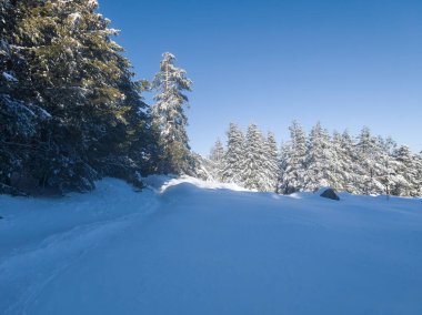 Bulgaristan 'ın Sofya Şehir Bölgesi, Vitosha Dağı' nın İnanılmaz Kış Panoraması