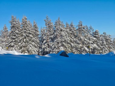 Bulgaristan 'ın Sofya Şehir Bölgesi, Vitosha Dağı' nın İnanılmaz Kış Panoraması