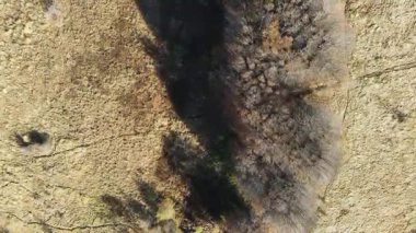 Bulgaristan 'ın Vitosha Dağı' nın İnanılmaz Sonbaharı