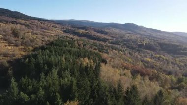Bulgaristan 'ın Vitosha Dağı' nın İnanılmaz Sonbaharı