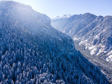 Bulgaristan 'ın Sofya Bölgesi Beli Iskar köyü yakınlarındaki Rila Dağı' nın kış manzarası