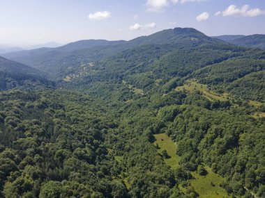 Bulgaristan 'ın Pernik Bölgesi, Kamenititsa zirvesi yakınlarındaki Erul Dağı' nın İnanılmaz Yaz Manzarası