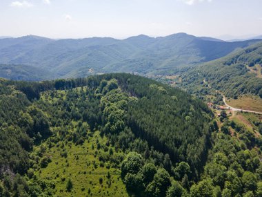 Bulgaristan 'ın Pernik Bölgesi, Kamenititsa zirvesi yakınlarındaki Erul Dağı' nın İnanılmaz Yaz Manzarası