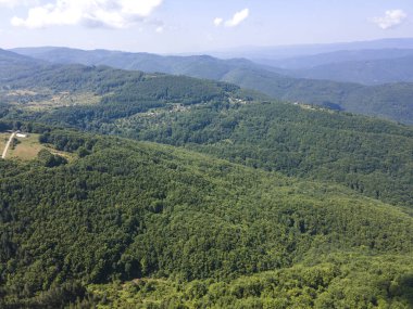 Bulgaristan 'ın Pernik Bölgesi, Kamenititsa zirvesi yakınlarındaki Erul Dağı' nın İnanılmaz Yaz Manzarası