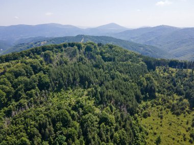 Bulgaristan 'ın Pernik Bölgesi, Kamenititsa zirvesi yakınlarındaki Erul Dağı' nın İnanılmaz Yaz Manzarası