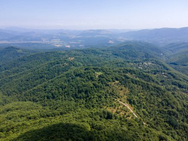 Bulgaristan 'ın Pernik Bölgesi, Kamenititsa zirvesi yakınlarındaki Erul Dağı' nın İnanılmaz Yaz Manzarası