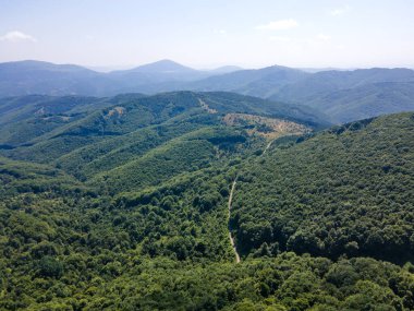 Bulgaristan 'ın Pernik Bölgesi, Kamenititsa zirvesi yakınlarındaki Erul Dağı' nın İnanılmaz Yaz Manzarası