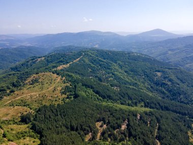 Bulgaristan 'ın Pernik Bölgesi, Kamenititsa zirvesi yakınlarındaki Erul Dağı' nın İnanılmaz Yaz Manzarası
