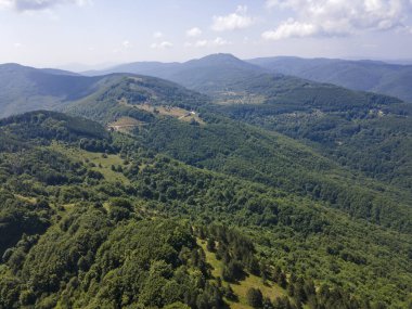 Bulgaristan 'ın Pernik Bölgesi, Kamenititsa zirvesi yakınlarındaki Erul Dağı' nın İnanılmaz Yaz Manzarası