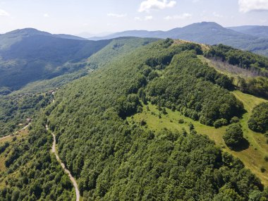 Bulgaristan 'ın Pernik Bölgesi, Kamenititsa zirvesi yakınlarındaki Erul Dağı' nın İnanılmaz Yaz Manzarası