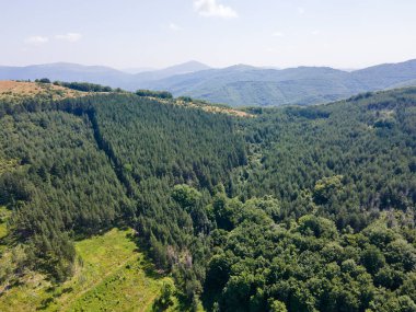 Bulgaristan 'ın Pernik Bölgesi, Kamenititsa zirvesi yakınlarındaki Erul Dağı' nın İnanılmaz Yaz Manzarası