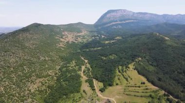 Turizm rotasının hava manzarası Balkan Dağları, Vratsa bölgesi, Bulgaristan 'daki Griffon akbabası