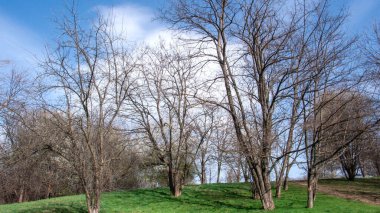 Bulgaristan 'ın Sofya kentindeki South Park' ın bahar manzarası