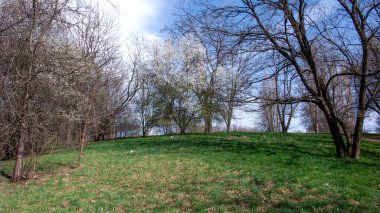 Bulgaristan 'ın Sofya kentindeki South Park' ın bahar manzarası