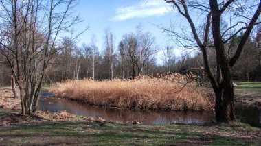 Bulgaristan 'ın Sofya kentindeki South Park' ın bahar manzarası