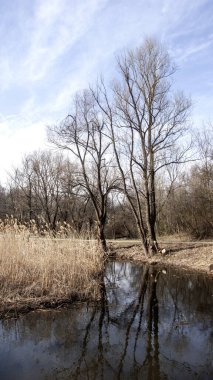 Bulgaristan 'ın Sofya kentindeki South Park' ın bahar manzarası