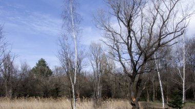 Bulgaristan 'ın Sofya kentindeki South Park' ın bahar manzarası