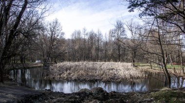 Bulgaristan 'ın Sofya kentindeki South Park' ın bahar manzarası