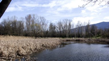 Bulgaristan 'ın Sofya kentindeki South Park' ın bahar manzarası