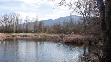 Bulgaristan 'ın Sofya kentindeki South Park' ın bahar manzarası