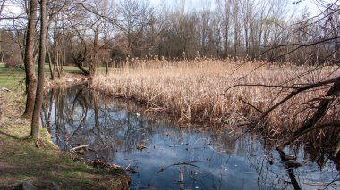 Bulgaristan 'ın Sofya kentindeki South Park' ın bahar manzarası