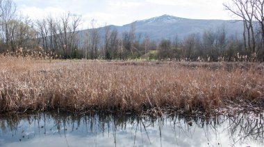 Bulgaristan 'ın Sofya kentindeki South Park' ın bahar manzarası